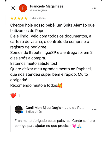 Estrutura de Perfil